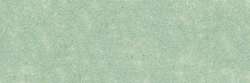 Iridescent olive green 813