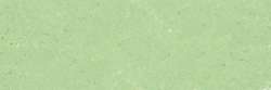 Celadon 955