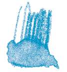 STAEDTLER® | Karat Aquarell kleurpotloden, cyaan