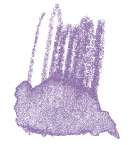 STAEDTLER® | Karat Aquarell kleurpotloden, lavendel