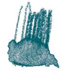 STAEDTLER® | Karat Aquarell kleurpotloden, Hooker's groen