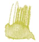 STAEDTLER® | Karat Aquarell kleurpotloden, lichtolijf