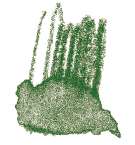 STAEDTLER® | Karat Aquarell kleurpotloden, groene aarde