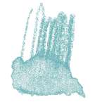 STAEDTLER® | Karat Aquarell kleurpotloden, Frans groen