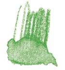 STAEDTLER® | Karat Aquarell kleurpotloden, lindegroen