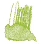 STAEDTLER® | Karat Aquarell kleurpotloden, geelgroen