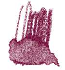 STAEDTLER® | Karat Aquarell kleurpotloden, Toscaansrood