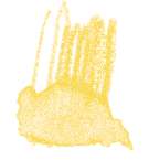 STAEDTLER® | Karat Aquarell kleurpotloden, zonnengeel