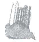 STAEDTLER® | Karat Aquarell kleurpotloden, lichtgrijs