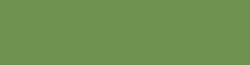 COPIC® | sketch marker — los, G85 Verdigris