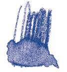 STAEDTLER® | Karat Aquarell kleurpotloden, kobaltblauw