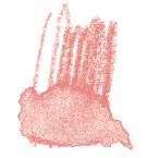 STAEDTLER® | Karat Aquarell kleurpotloden, roze