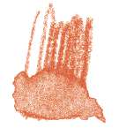 STAEDTLER® | Karat Aquarell kleurpotloden, scharlakenrood