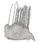 STAEDTLER® | Karat Aquarell kleurpotloden, koudgrijs 13