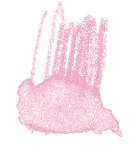 STAEDTLER® | Karat Aquarell kleurpotloden, karmijn licht