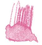 STAEDTLER® | Karat Aquarell kleurpotloden, magenta