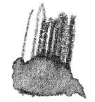 STAEDTLER® | Karat Aquarell kleurpotloden, zwart