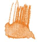 STAEDTLER® | Karat Aquarell kleurpotloden, oranje