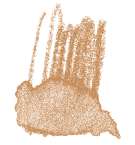 STAEDTLER® | Karat Aquarell kleurpotloden, rozenhout