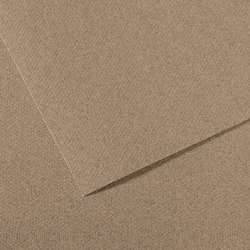 CANSON® Mi-Teintes® gekleurd tekenpapier, vel 50 x 65cm (min.5 vel), Steengrijs gemelleerd 431