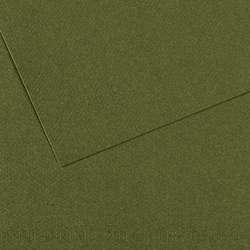 CANSON® Mi-Teintes® gekleurd tekenpapier, vel 50 x 65cm (min.5 vel), Oceaangroen 448