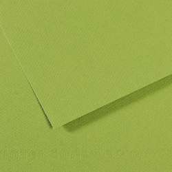 CANSON® Mi-Teintes® gekleurd tekenpapier, vel 50 x 65cm (min.5 vel), Groen 475