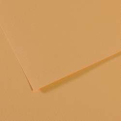 CANSON® Mi-Teintes® gekleurd tekenpapier, vel 50 x 65cm (min.5 vel), Zandkleur donker 340
