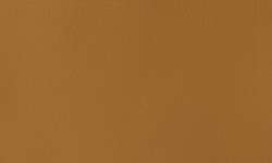 Raw umber