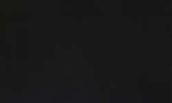 Lamp black