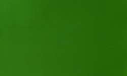 Sap green