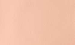 Pale rose blush