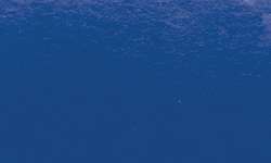 Penseel Ink Brush Sennelier, brushpen, Cobalt blue hue