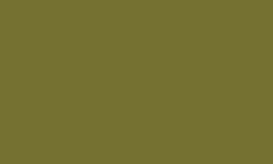 CARAN d'ACHE® | Luminance 6901®  kleurpotlood — los, Olive brown (LFI)