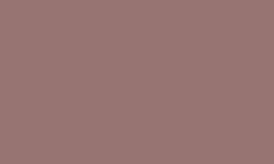 CARAN d'ACHE® | Luminance 6901®  kleurpotlood — los, Sepia 50% (LFI)