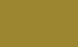 CARAN d'ACHE® | Luminance 6901®  kleurpotlood — los, Green ochre (LFI)