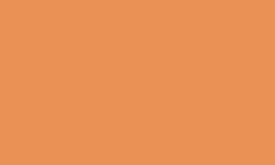 CARAN d'ACHE® | Luminance 6901®  kleurpotlood — los, Apricot  (LFII)