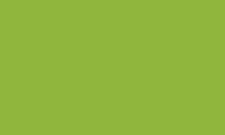 CARAN d'ACHE® | Luminance 6901®  kleurpotlood — los, Spring green (LFI)