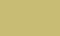 CARAN d'ACHE® | Luminance 6901®  kleurpotlood — los, Brown olive 10% (LFI)