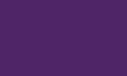 CARAN d'ACHE® | Luminance 6901®  kleurpotlood — los, Violet (LFII)