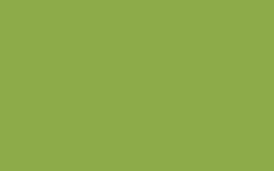 MOLOTOW™ FLAME™ ORANGE, 400 ml, Grass green FO-628