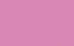 darwi® Acrylfverf, opaak, 80 ml, sorbet