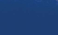 Penseel Ink Brush Sennelier, brushpen, Primary blue