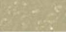 GALLERY | Artist` Handmade Soft Pastel, Olive beige
