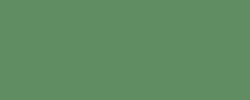 CARAN d'ACHE® | NEOCOLOR® II watersoluble wax pastel, chroomoxydgroen