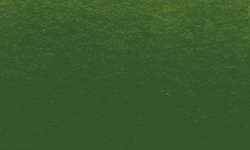 Penseel Ink Brush Sennelier, brushpen, Olive green