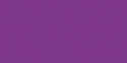 Dolfijn