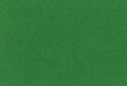 Talens | Art Creation acrylverf, 750 ml, Permanentgroen licht