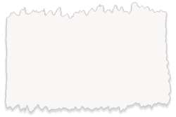 SCHMINCKE® AKADEMIE® aquarelverf - cadmiumvrij, 1/2 napje, Opaque white