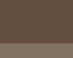Raw umber
