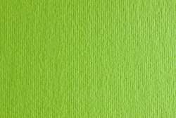 FABRIANO® Cartacrea gekleurd kartonpapier, vel 50 x 70cm, Bladgroen